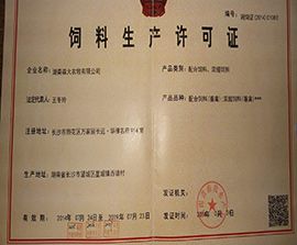 榮譽(yù)證書(shū)四