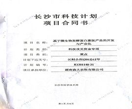 榮譽(yù)證書(shū)六